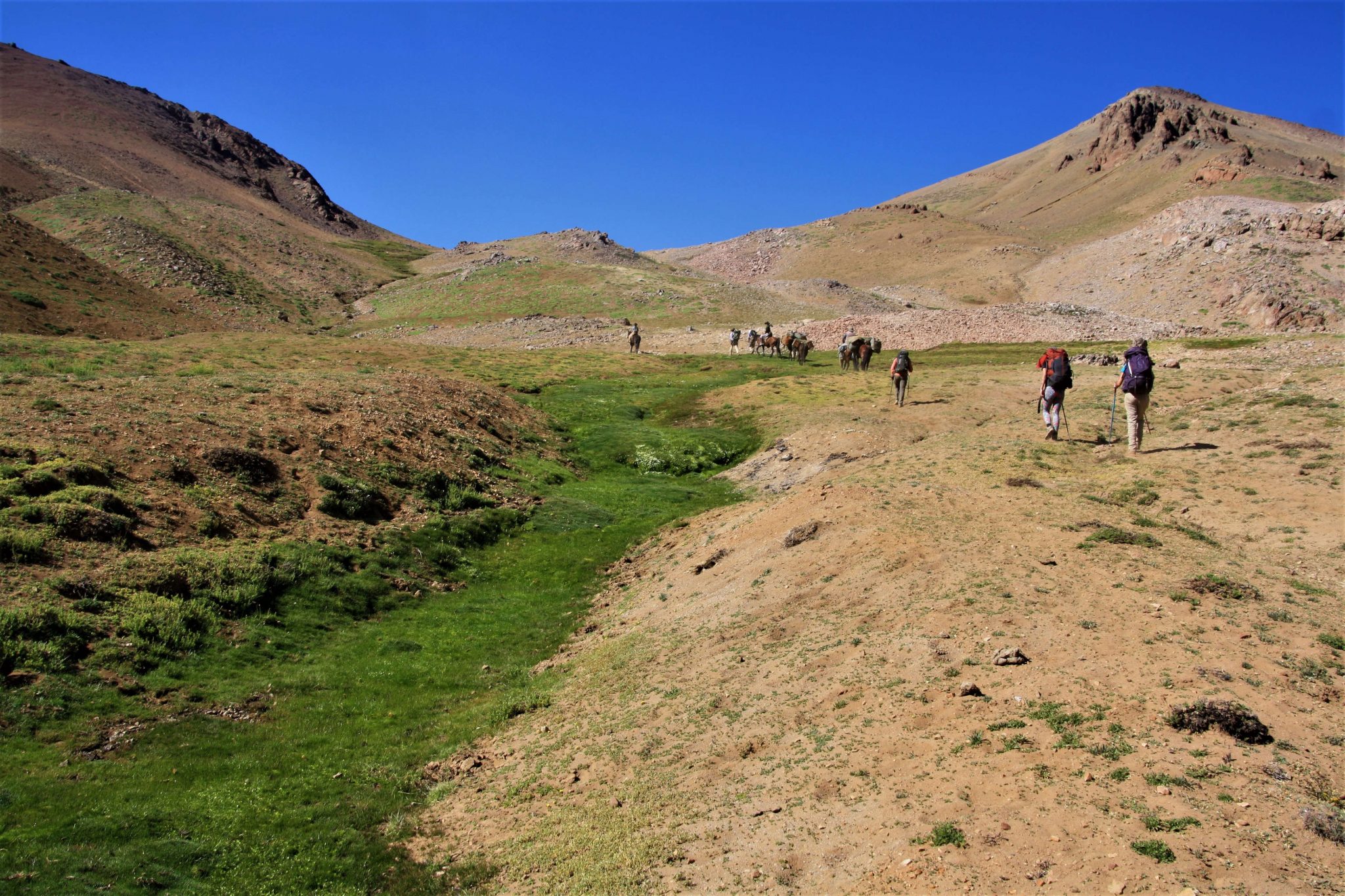 Humedales Alto Andinos El Origen De La Vida Revista Caj N Del Maipo