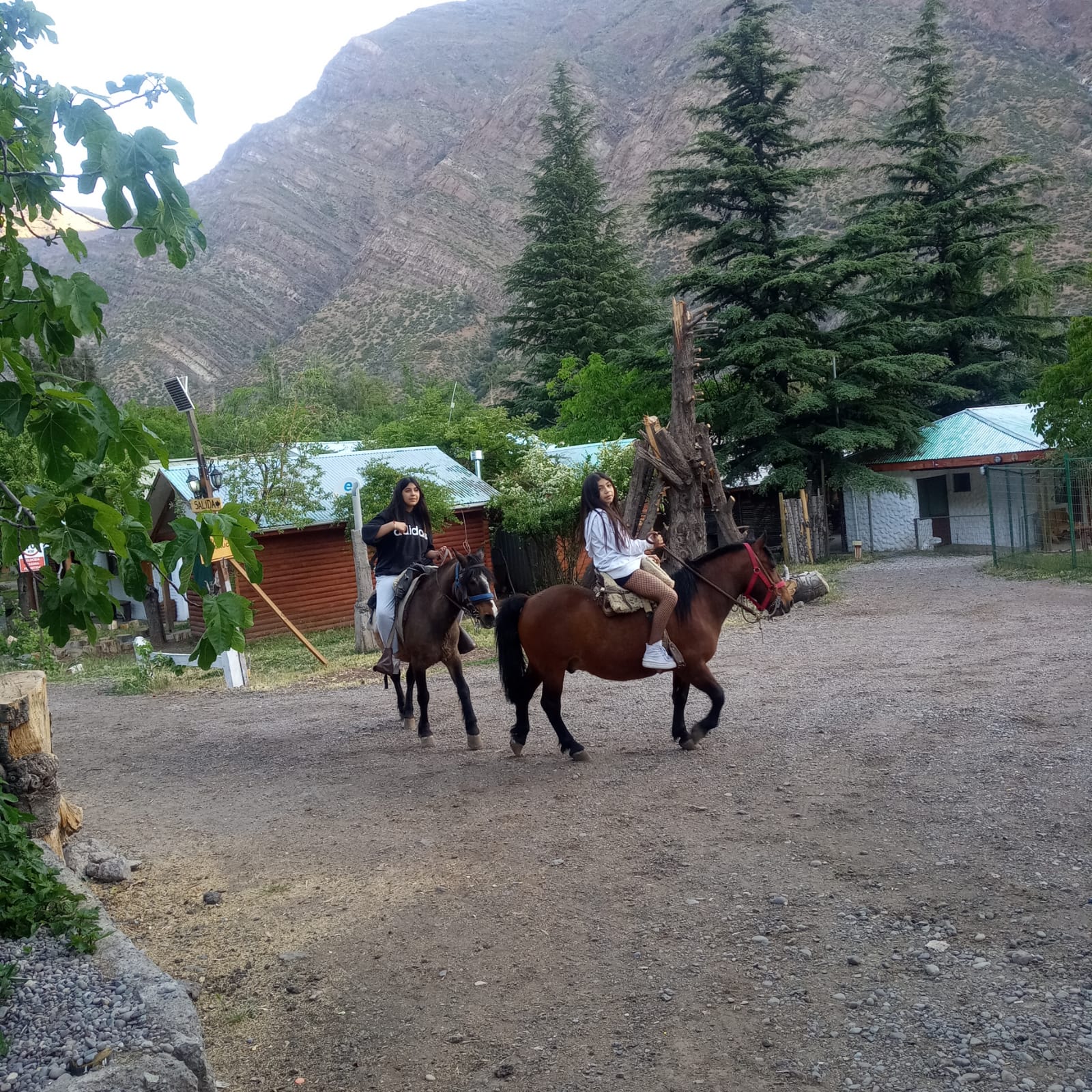 Restaurant, Cabañas, Tinaja con hidromasaje, Mini Zoológico y más