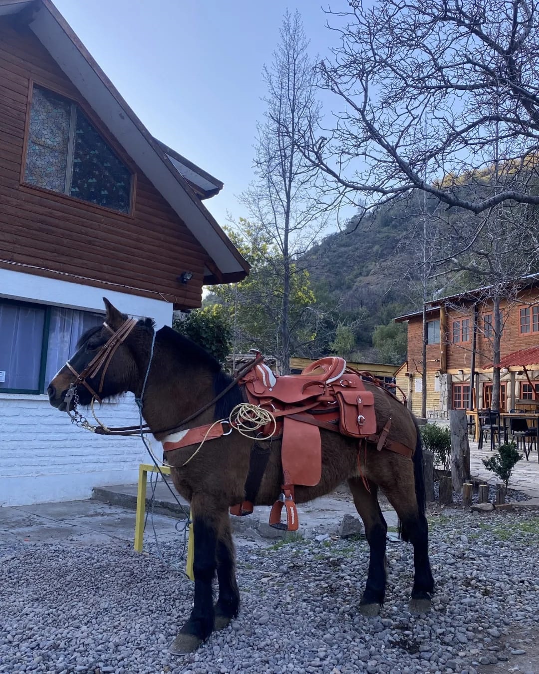 Restaurant, Cabañas, Tinaja con hidromasaje, Mini Zoológico y más
