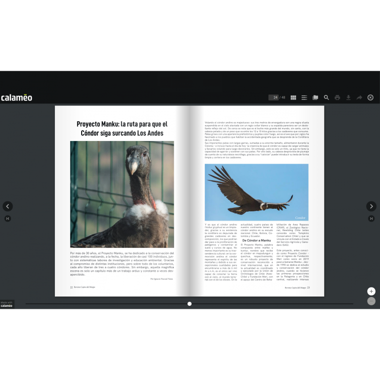 Revista Cajón del Maipo n°05 digital Revista Cajón del Maipo