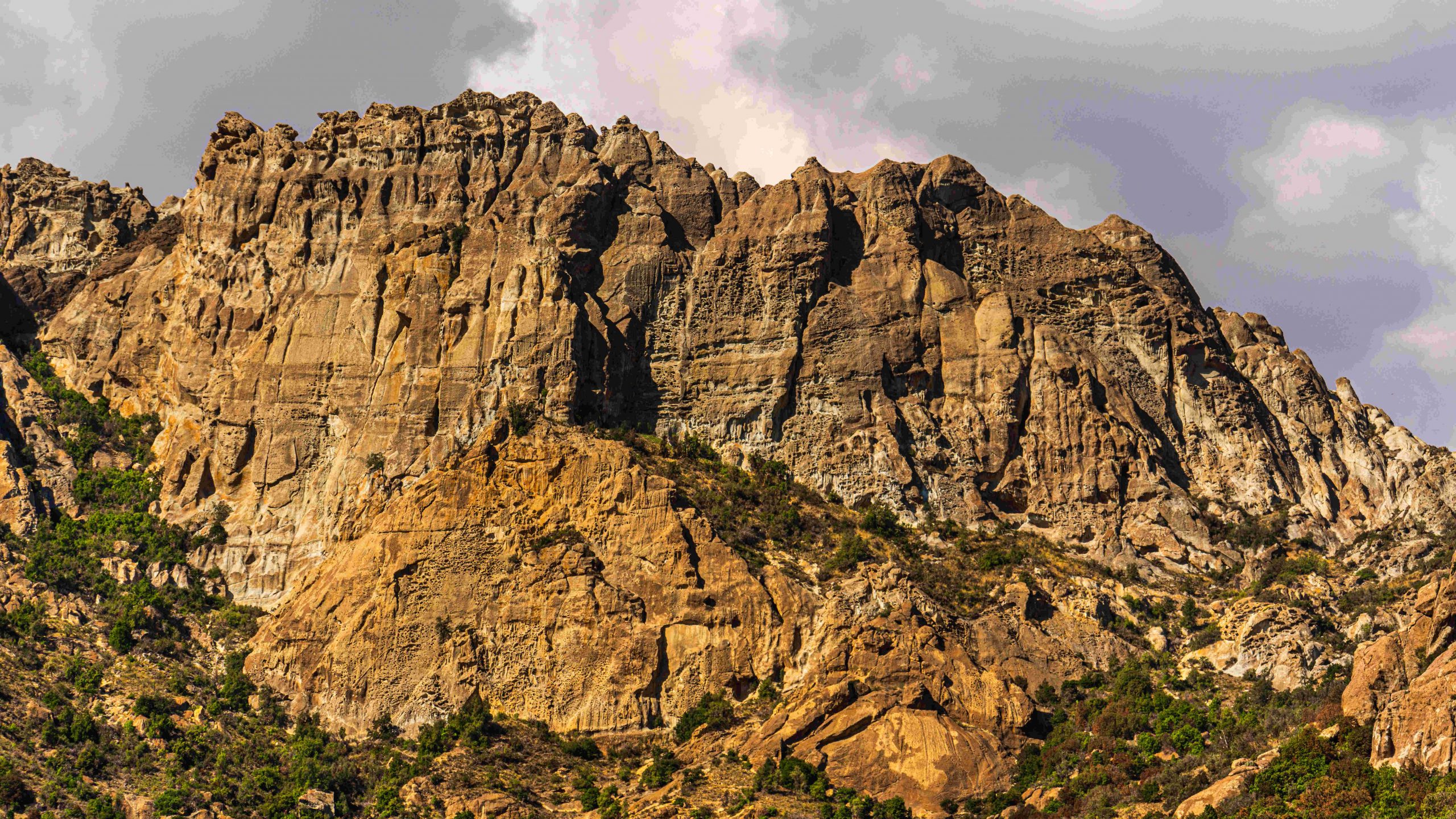 Fauna Revista Cajón del Maipo
